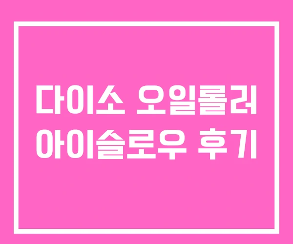 다이소 오일롤러 아이슬로우 후기 다이소 오일롤러 아이슬로우 후기