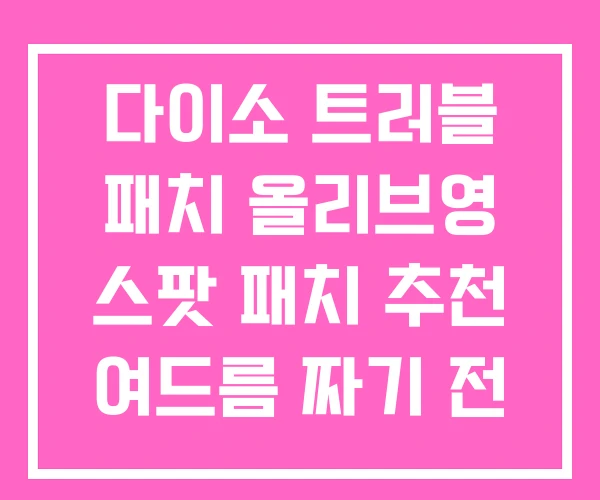 다이소 트러블 패치 올리브영 스팟 패치 추천 여드름 짜기 전 다이소 트러블 패치 올리브영 스팟 패치 추천 여드름 짜기 전