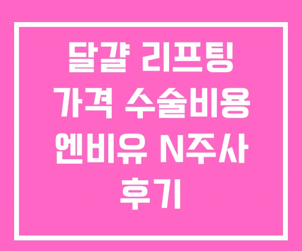 달걀 리프팅 가격 수술비용 엔비유 N주사 후기
