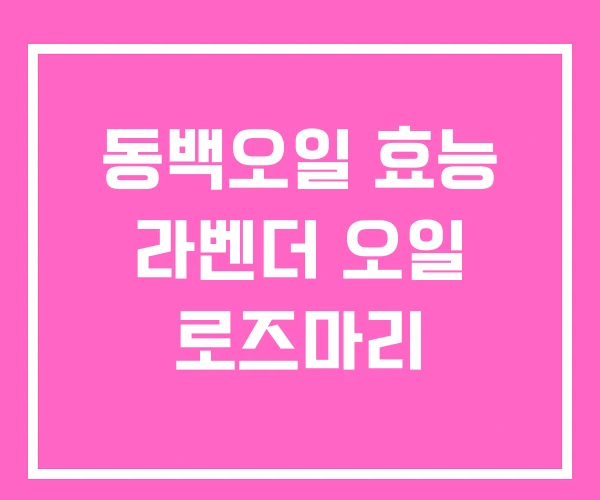 동백오일 효능 라벤더 오일 로즈마리