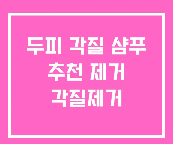 두피 각질 샴푸 추천 제거 각질제거 두피 각질 샴푸 추천 제거 각질제거