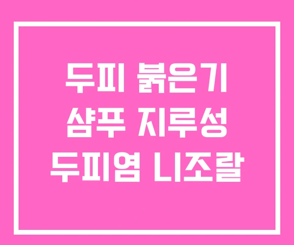 두피 붉은기 샴푸 지루성 두피염 니조랄