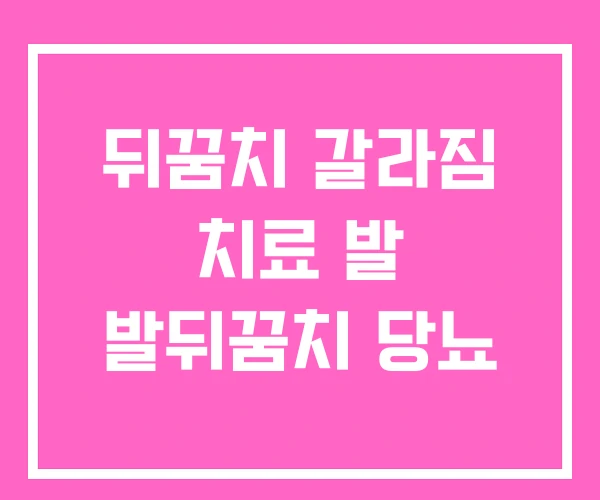 뒤꿈치 갈라짐 치료 발 발뒤꿈치 당뇨