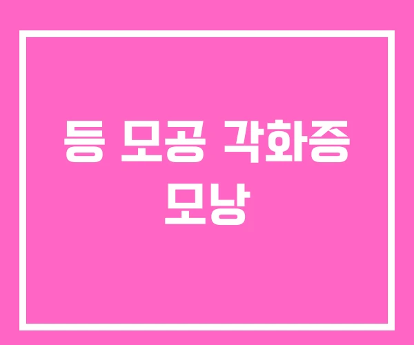 등 모공 각화증 모낭 등 모공 각화증 모낭