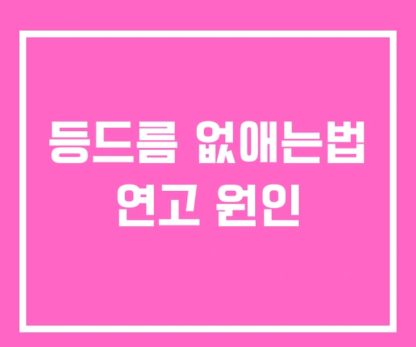 등드름 없애는법 연고 원인