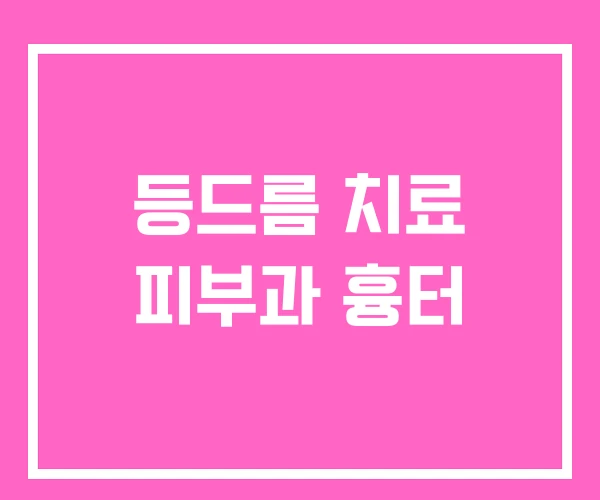 등드름 치료 피부과 흉터 등드름 치료 피부과 흉터