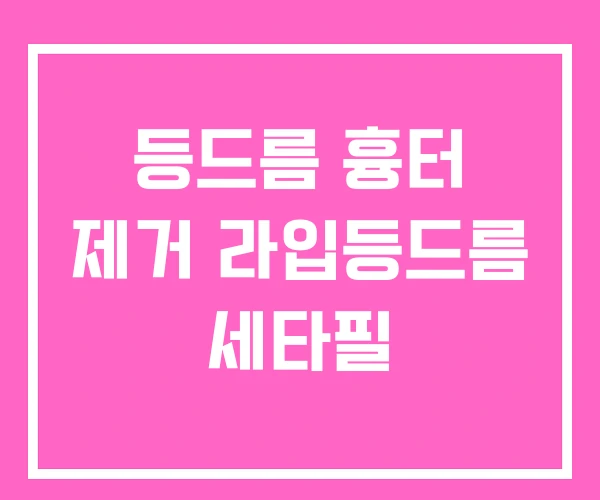 등드름 흉터 제거 라입등드름 세타필 등드름 흉터 제거 라입등드름 세타필