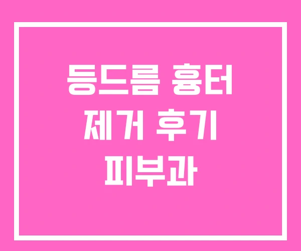 등드름 흉터 제거 후기 피부과 등드름 흉터 제거 후기 피부과