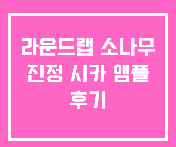 라운드랩 소나무 진정 시카 앰플 후기