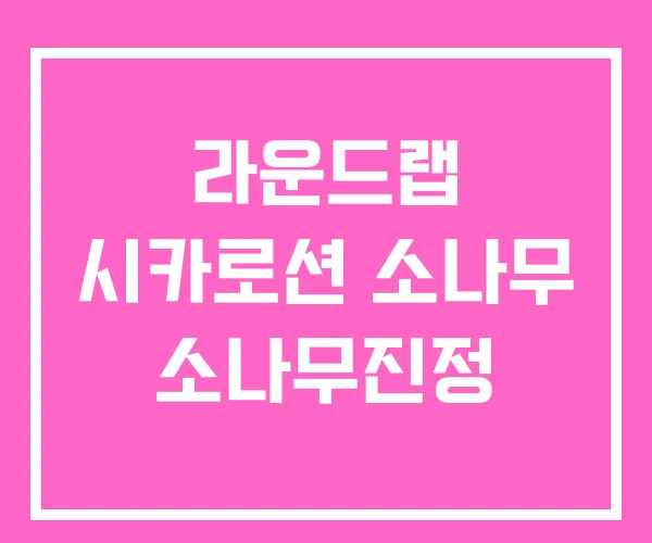 라운드랩 시카로션 소나무 소나무진정