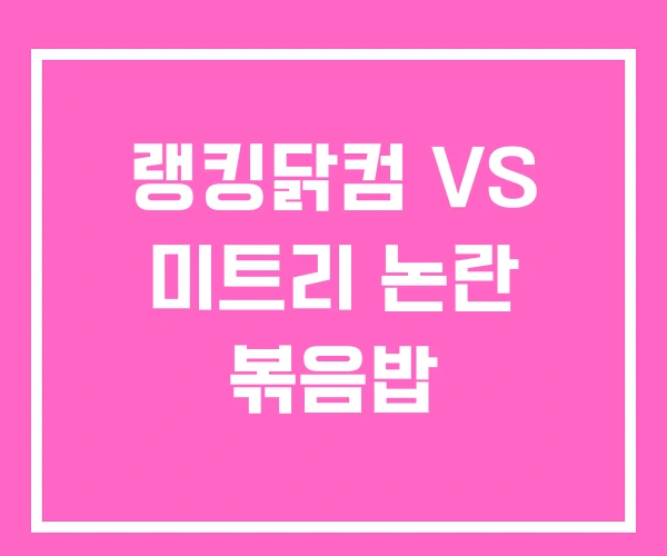 랭킹닭컴 VS 미트리 논란 볶음밥 랭킹닭컴 VS 미트리 논란 볶음밥