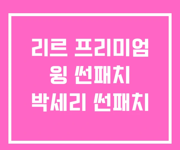 리르 프리미엄 윙 썬패치 박세리 썬패치
