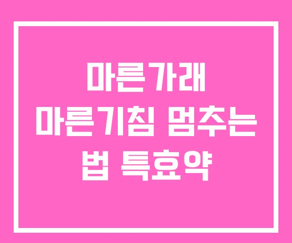 마른가래 마른기침 멈추는 법 특효약 마른가래 마른기침 멈추는 법 특효약
