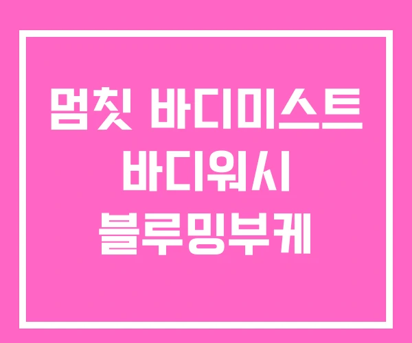 멈칫 바디미스트 바디워시 블루밍부케 멈칫 바디미스트 바디워시 블루밍부케