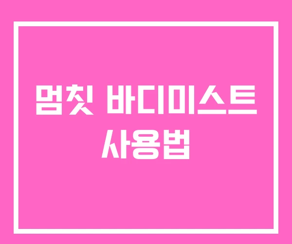 멈칫 바디미스트 사용법 멈칫 바디미스트 사용법
