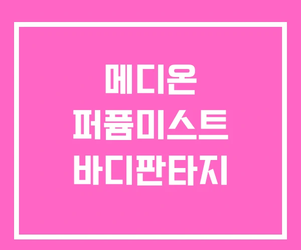 메디온 퍼퓸미스트 바디판타지 메디온 퍼퓸미스트 바디판타지