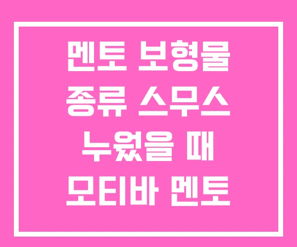 멘토 보형물 종류 스무스 누웠을 때 모티바 멘토 세빈 멘토 보형물 종류 스무스 누웠을 때 모티바 멘토 세빈