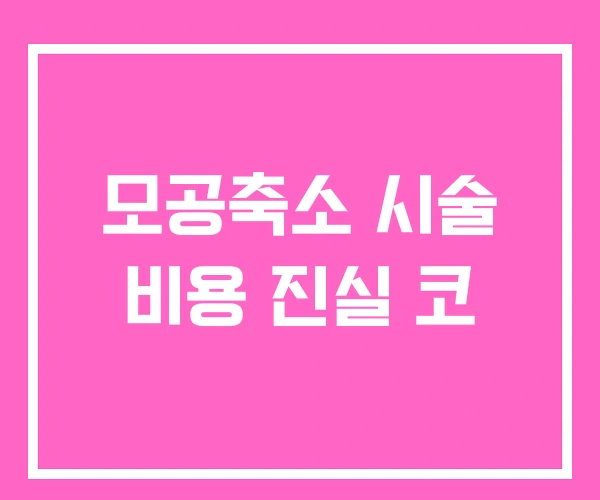모공축소 시술 비용 진실 코 모공축소 시술 비용 진실 코