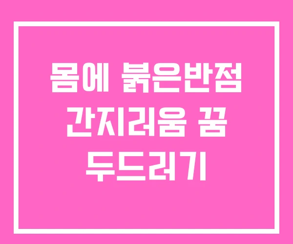 몸에 붉은반점 간지러움 꿈 두드러기 몸에 붉은반점 간지러움 꿈 두드러기