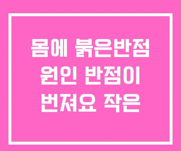 몸에 붉은반점 원인 반점이 번져요 작은 몸에 붉은반점 원인 반점이 번져요 작은