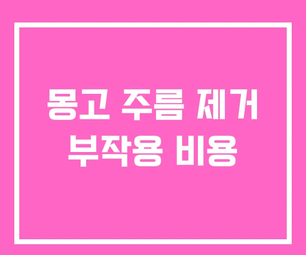 몽고 주름 제거 부작용 비용