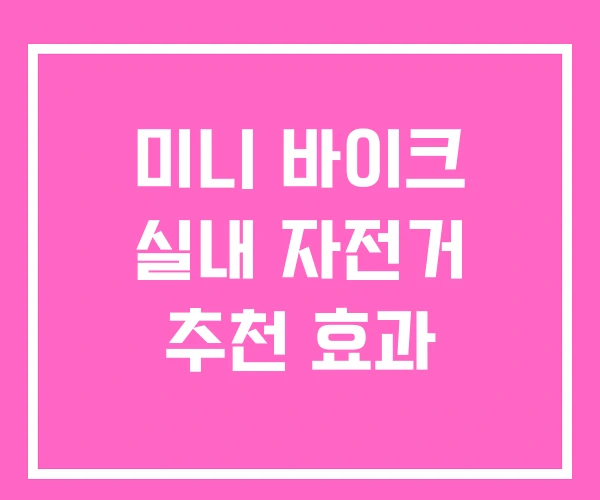 미니 바이크 실내 자전거 추천 효과 미니 바이크 실내 자전거 추천 효과