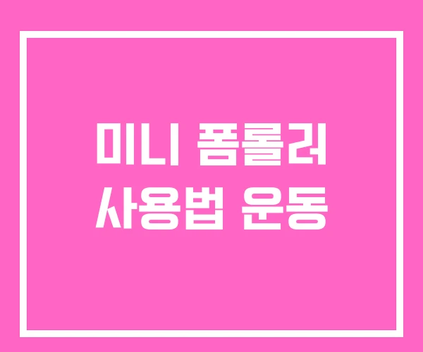 미니 폼롤러 사용법 운동 미니 폼롤러 사용법 운동