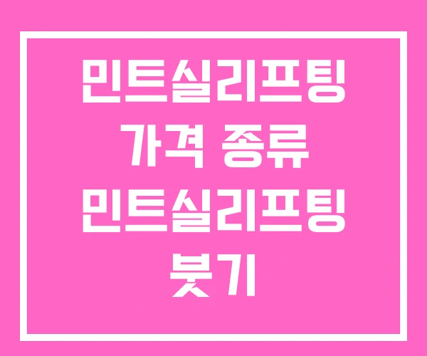 민트실리프팅 가격 종류 민트실리프팅 붓기