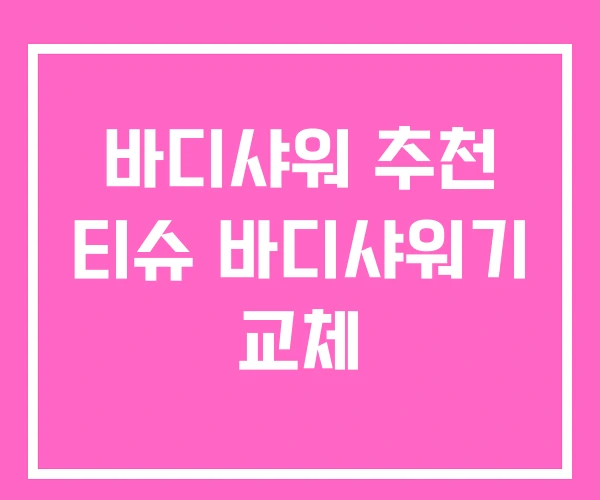 바디샤워 추천 티슈 바디샤워기 교체 바디샤워 추천 티슈 바디샤워기 교체