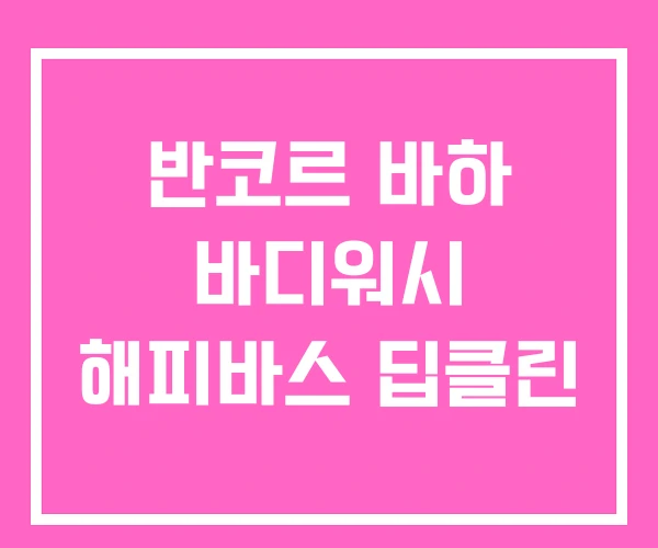 반코르 바하 바디워시 해피바스 딥클린