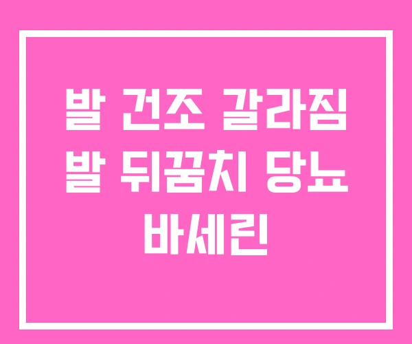 발 건조 갈라짐 발 뒤꿈치 당뇨 바세린