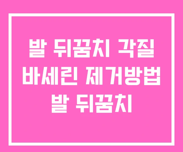 발 뒤꿈치 각질 바세린 제거방법 발 뒤꿈치 발 뒤꿈치 각질 바세린 제거방법 발 뒤꿈치