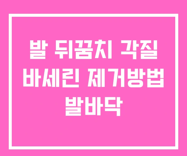 발 뒤꿈치 각질 바세린 제거방법 발바닥 발 뒤꿈치 각질 바세린 제거방법 발바닥