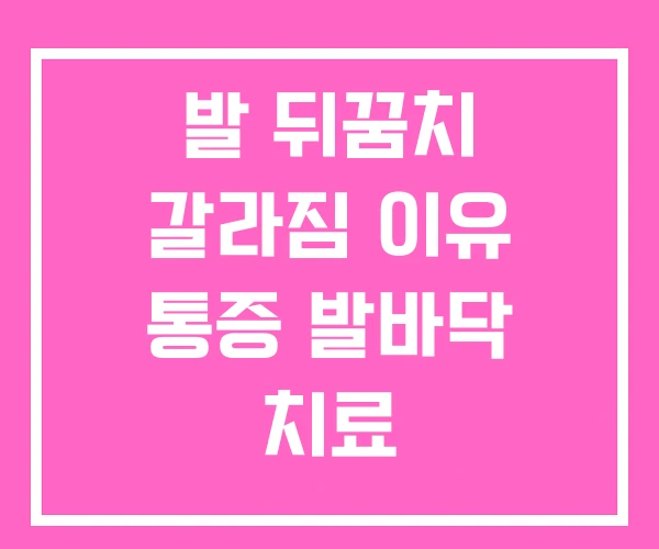 발 뒤꿈치 갈라짐 이유 통증 발바닥 치료 발 뒤꿈치 갈라짐 이유 통증 발바닥 치료