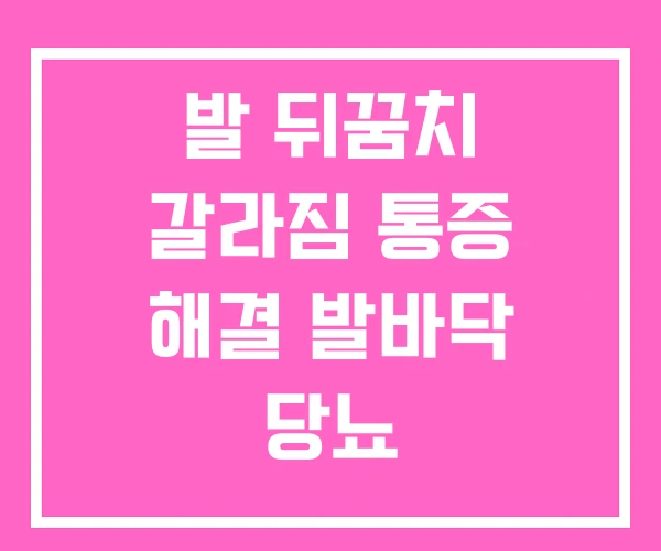발 뒤꿈치 갈라짐 통증 해결 발바닥 당뇨 발 뒤꿈치 갈라짐 통증 해결 발바닥 당뇨