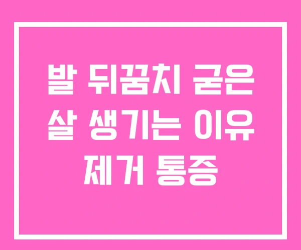 발 뒤꿈치 굳은 살 생기는 이유 제거 통증 발 뒤꿈치 굳은 살 생기는 이유 제거 통증