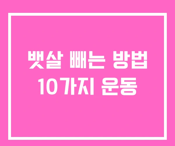 뱃살 빼는 방법 10가지 운동 뱃살 빼는 방법 10가지 운동