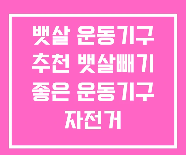 뱃살 운동기구 추천 뱃살빼기 좋은 운동기구 자전거 뱃살 운동기구 추천 뱃살빼기 좋은 운동기구 자전거