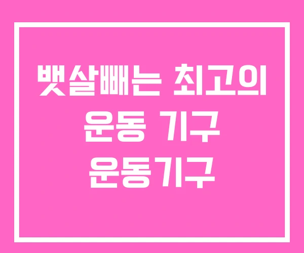 뱃살빼는 최고의 운동 기구 운동기구
