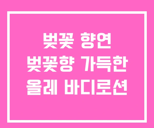 벚꽃 향연 벚꽃향 가득한 올레 바디로션 벚꽃 향연 벚꽃향 가득한 올레 바디로션