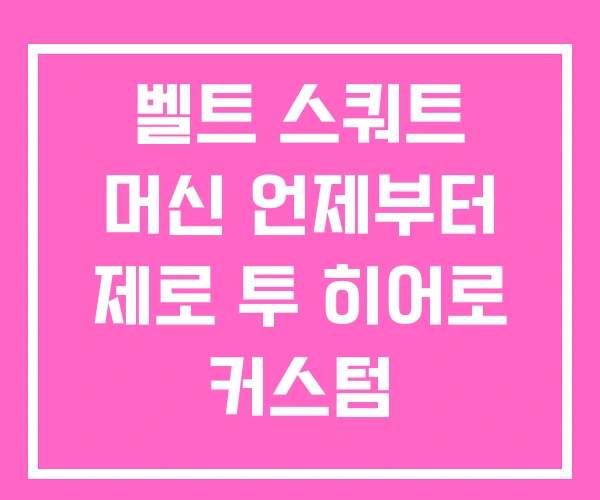 벨트 스쿼트 머신 언제부터 제로 투 히어로 커스텀 벨트 스쿼트 머신 언제부터 제로 투 히어로 커스텀