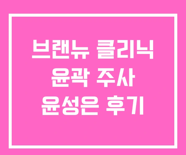 브랜뉴 클리닉 윤곽 주사 윤성은 후기