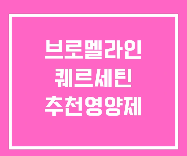 브로멜라인 퀘르세틴 추천영양제