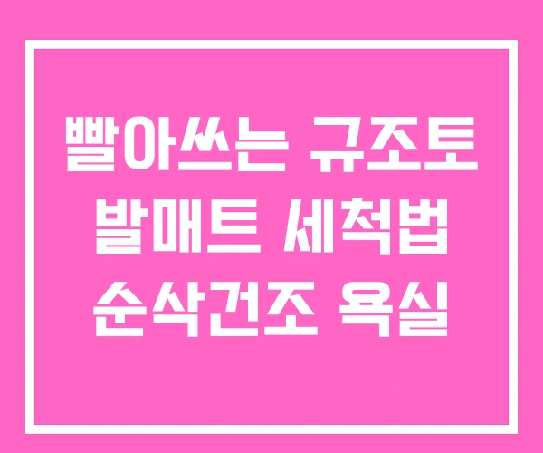 빨아쓰는 규조토 발매트 세척법 순삭건조 욕실 빨아쓰는 규조토 발매트 세척법 순삭건조 욕실