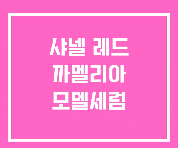 샤넬 레드 까멜리아 모델세럼 샤넬 레드 까멜리아 모델세럼