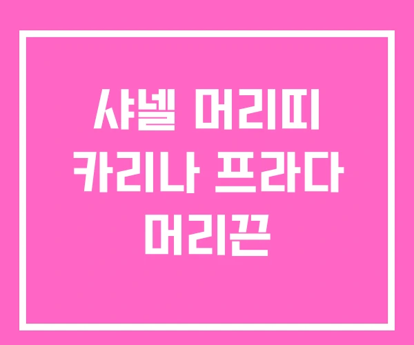 샤넬 머리띠 카리나 프라다 머리끈