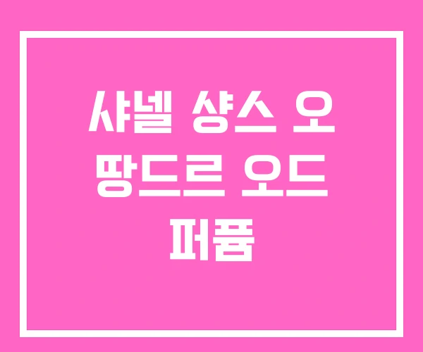 샤넬 샹스 오 땅드르 오드 퍼퓸 샤넬 샹스 오 땅드르 오드 퍼퓸
