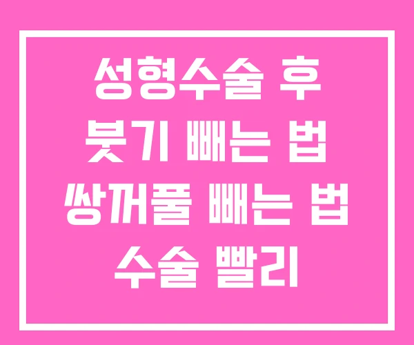 성형수술 후 붓기 빼는 법 쌍꺼풀 빼는 법 수술 빨리