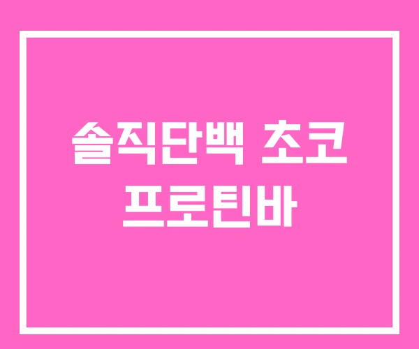 솔직단백 초코 프로틴바