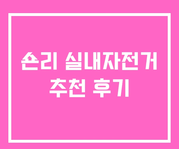 숀리 실내자전거 추천 후기
